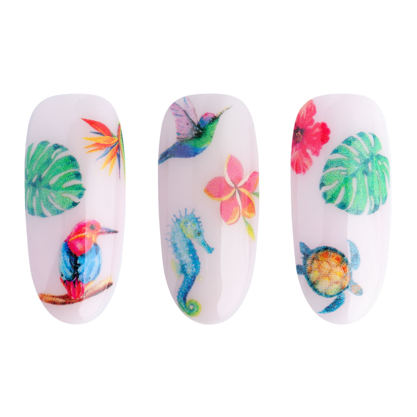 Adesivi ad acqua - Water stickers NN34